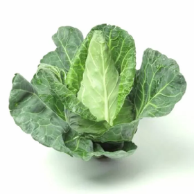 РЕДЖЕНСІ F1 КОНІЧНА 2500 насінин