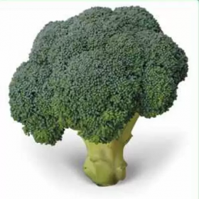 Чубі F1 2500 насінин