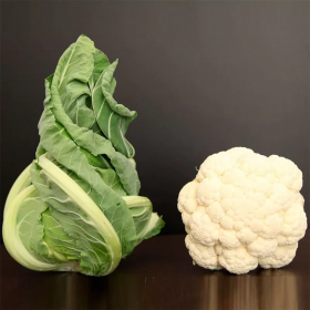 ВІТОН F1 / VITON F1 1000/2500 насінин