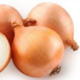 ЦИБУЛЯ ТОРУС F1 250000 насінин