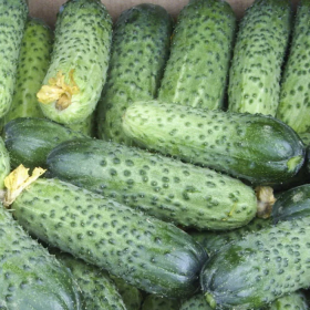 Аваланж F1 500/1000 насінин