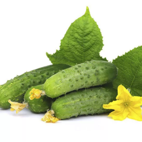 Баронет F1 500/1000 насінин