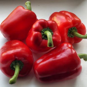 Сіндерелла F1 500/1000 насінин