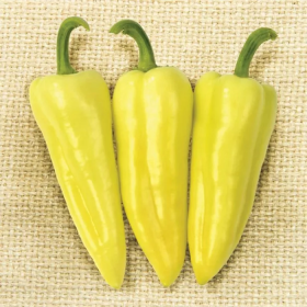 Призма F1 1000 насінин