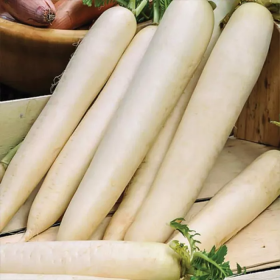 Мiно Ерлі Лонг Вайт F1 10000 насінин