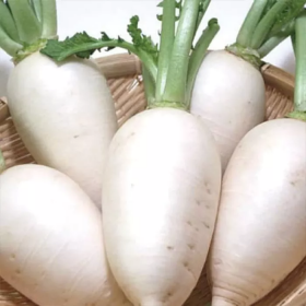 Спрінг Фейвор F1 10000 насінин