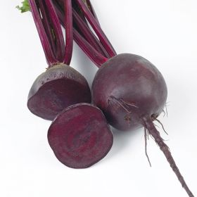 БУРЯК СТОЛОВИЙ РЕД ХАВК F1 / RED HAVK F1 5000/50000 насінин