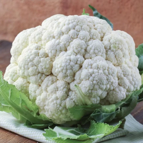 Бьянка F1 2500 насінин