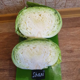 КАПУСТА ШАНІ F1 1000 насінин