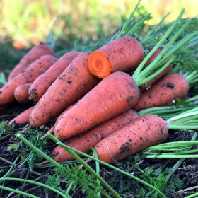 ЧЕРВОНЕ СЕРЦЕ 500г