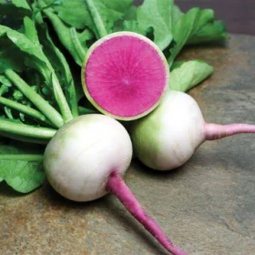 РЕДЬКА ДАЙКОН МІСАТО РОУЗ ФЛЕШ 500/10000 насінин