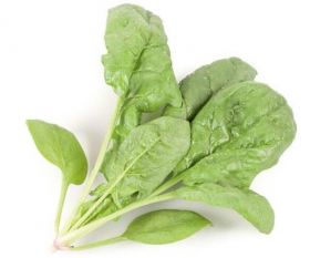 ШПІНАТ ПРОНГОРН F1 / Prongnorn F1 25000/1000000 насінин