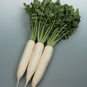 РЕДЬКА ДАЙКОН СНОУБЬОРД F1 250/10000 насінин