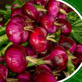 Супер Ред 10000/50000 насінин