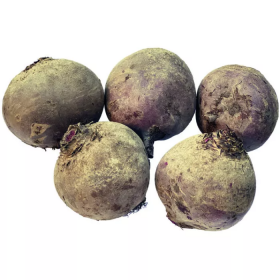 БУРЯК СТОЛОВИЙ СУПЕРБ F1 5000/25000/250000 насінин