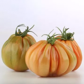 ТОМАТ МАРМАНДЕ ТАРКЮТО 100 насінин