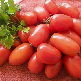 Брісколіно F1 10000 насінин