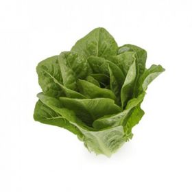 САЛАТ РОМЕН ТУКАДОННА / TUCCADONNA 1000/5000 насінин