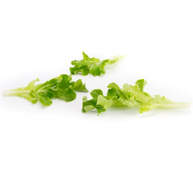 САЛАТ Д/Л ВЕБЕР 100 000 насінин