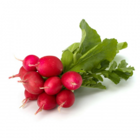 РЕДИС САРІТА F1