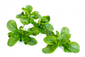 САЛАТ КОРН ВЕЙРОН 100 000 насінин