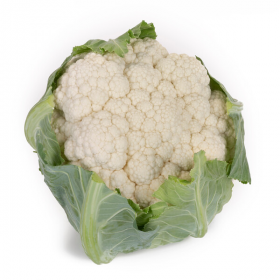 ПАКСТОН F1 1000/2500 насінин