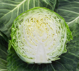 АДЕМА F1 1000/2500 насінин