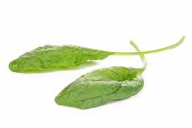 ШПИНАТ БІЛБІ F1