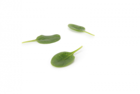 ШПИНАТ ЛІЗАРД F1