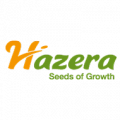 Hazera