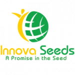 Innova Seeds