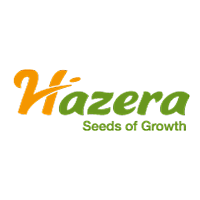 Hazera