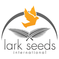 Spark Seeds